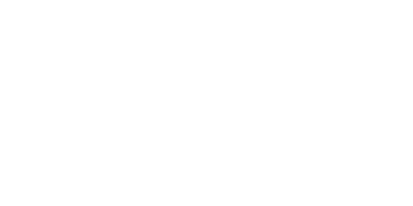 het-nieuwe-instituur-logo-wit.png